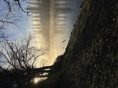 Mist on the Burke Gilman